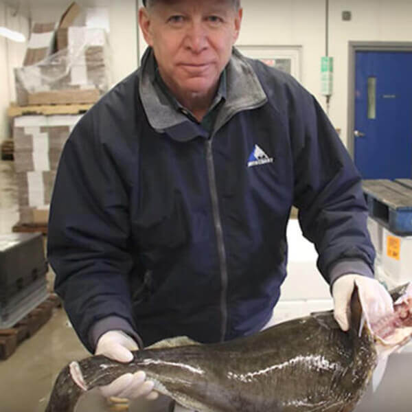 North Coast Seafoods