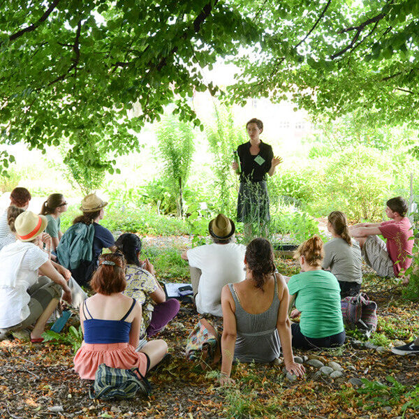 UMass Permaculture Garden