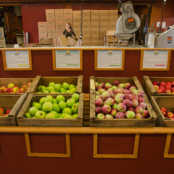 Cold Spring Orchard