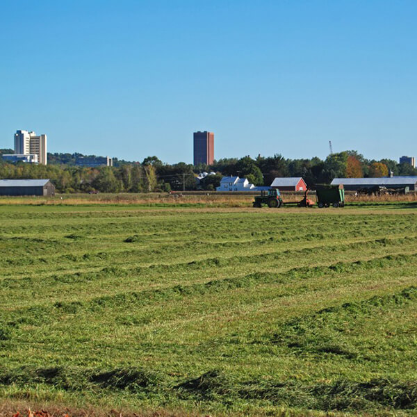 Czajkowski Farm